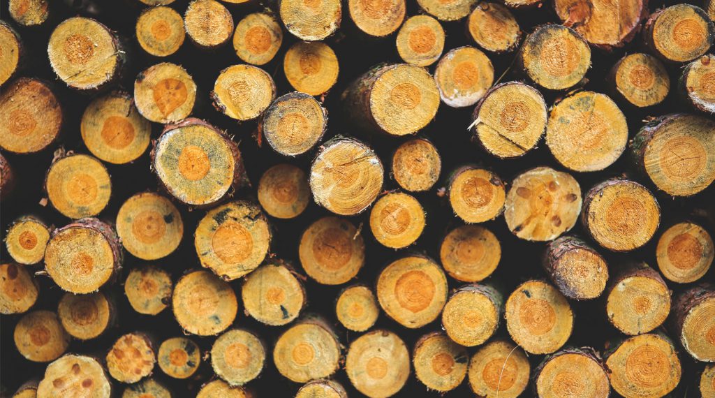 verantwoord hout