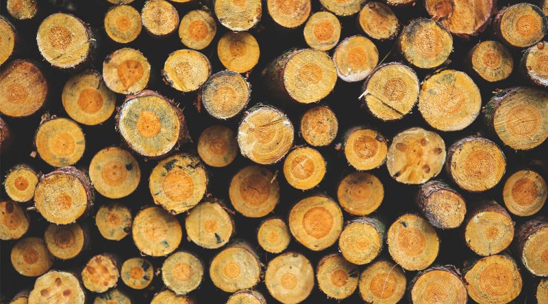 verantwoord hout