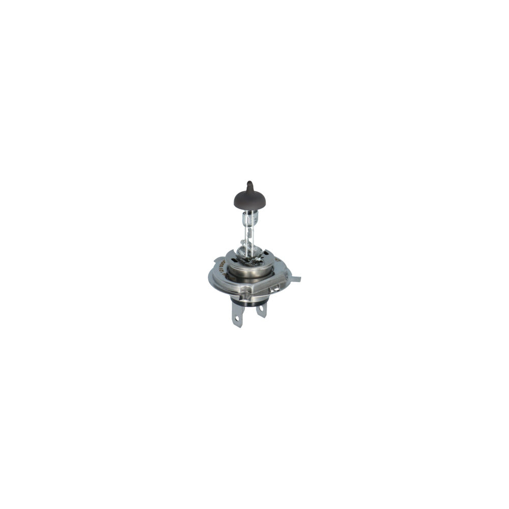 Carpoint Gloeilampenset H4 30-Delig-10000691