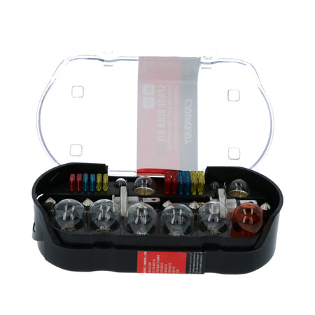 Carpoint Gloeilampenset H4 30-Delig-10000691