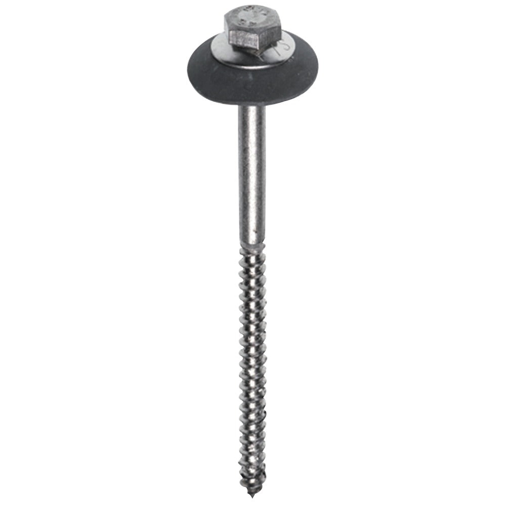 FIS Profi Golfplaatbout RVS Zeskantkop 7x110mm 25st-361827