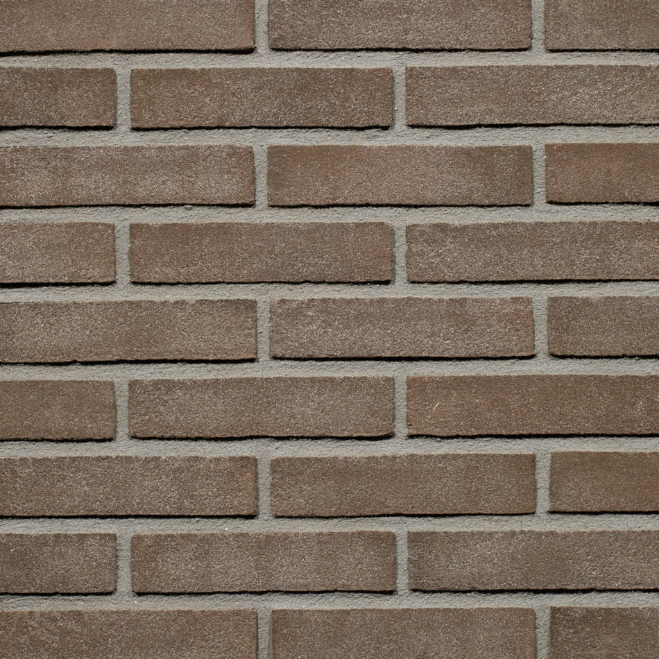 Wienerberger Gevelsteen Bruin Zwart Vormbak Waalformaat 210x100x50mm-379352