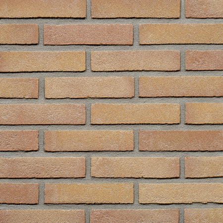 Wienerberger Gevelsteen Beige Rood Vormbak Waalformaat 210x100x50mm-459434