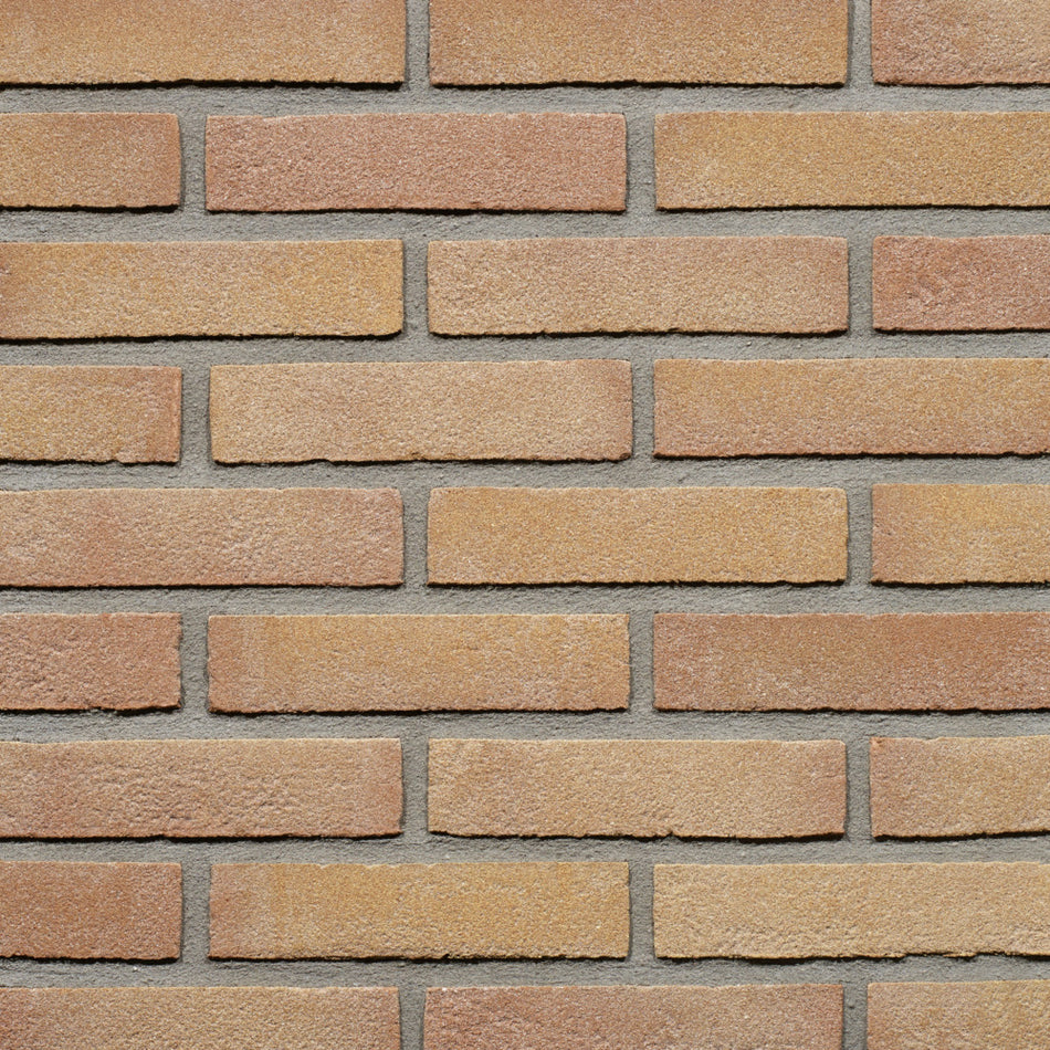 Wienerberger Gevelsteen Beige Rood Vormbak Waalformaat 210x100x50mm-459434