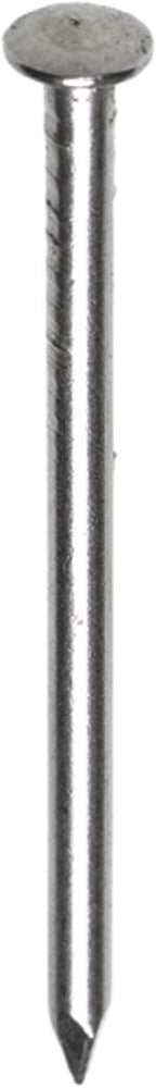 HJZ Profi Nagel Bombé Kop RVS-556505