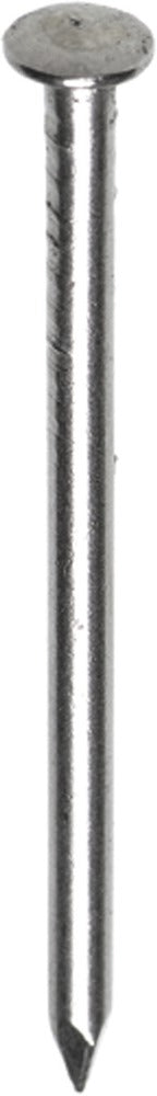 HJZ Profi Nagel Bombé Kop RVS-556507