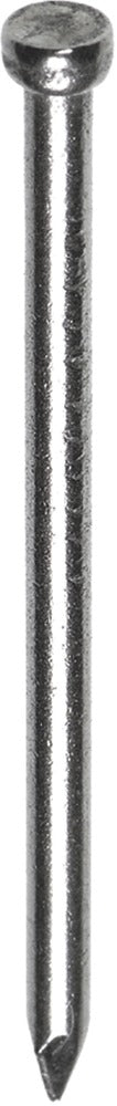 HJZ Profi Nagel Verloren Kop RVS-558610