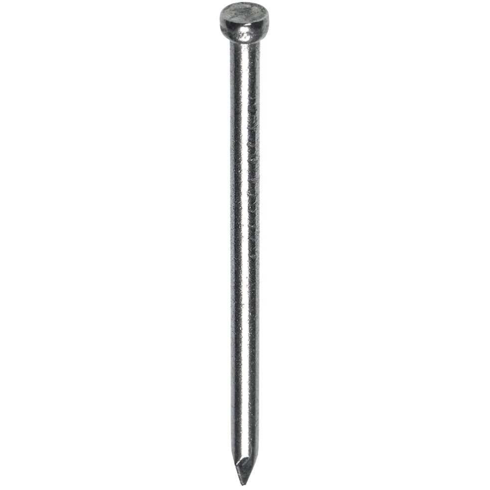HJZ Profi Nagel Verloren Kop RVS-558611
