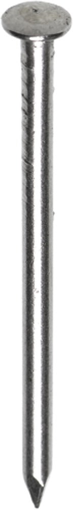 HJZ Profi Nagel Bombé Kop RVS-558612