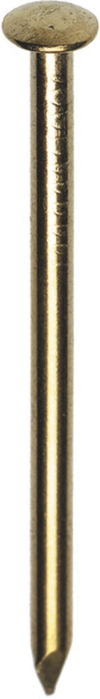 HJZ Profi Nagel Messing Bombé Kop 1,5x20mm 1000st-558613