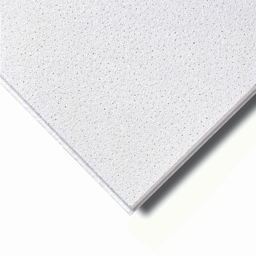 Agnes One-Step Plafondplaat Stuc Wit Vochtwerend 620x1220x12mm 4st 70% PEFC-575254