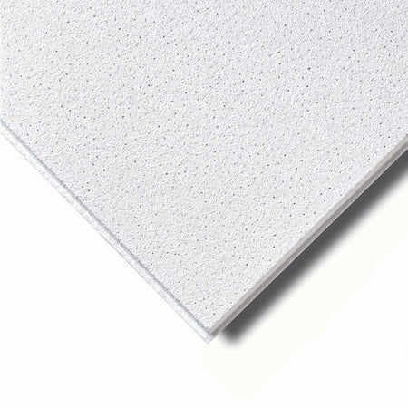 Agnes One-Step Plafondplaat Stuc Wit Vochtwerend 620x1220x12mm 4st 70% PEFC-575254