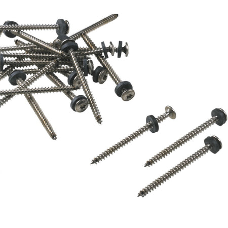 Monier Schroef RVS 5x50mm Voldraad Torx incl. Bit 100st-583816