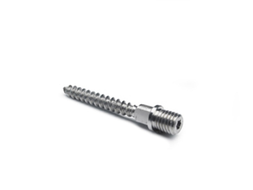 Rheinzink Schroefstift torx M 10x70 mm RVS-589580