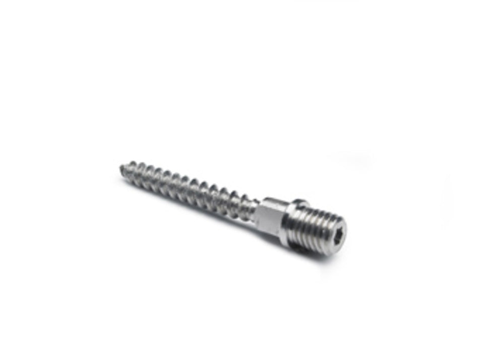 Rheinzink Schroefstift torx M 10x70 mm RVS-589580