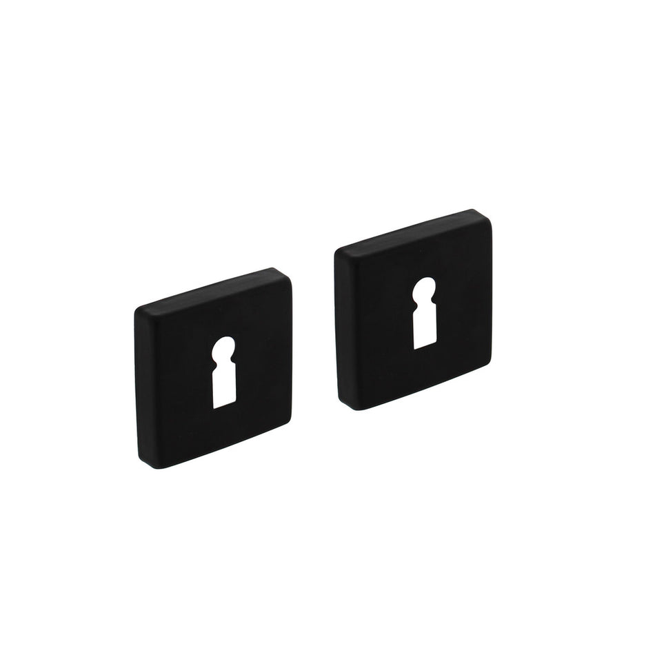Intersteel Rozet Met Sleutelgat 50x50x10mm + 7mm Nokken Zwart-759098
