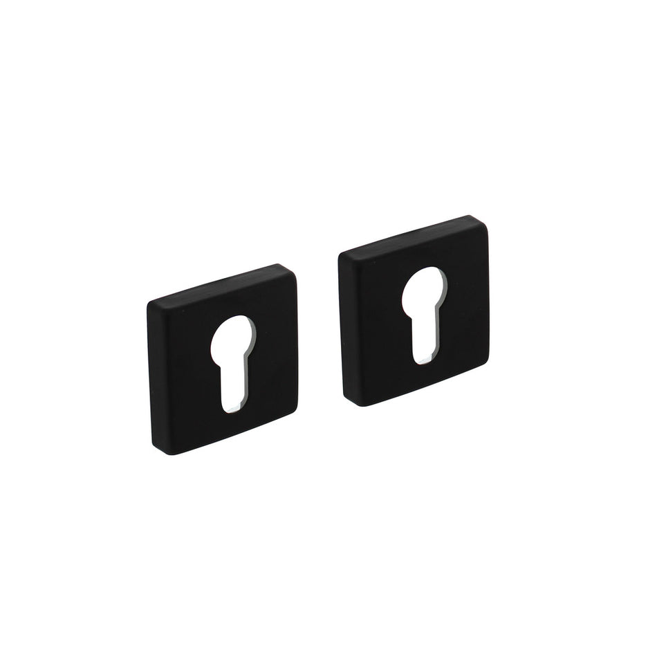 Intersteel Rozet Met Profielcilindergat 50x50x10mm + 7mm Nokken Zwart-759100
