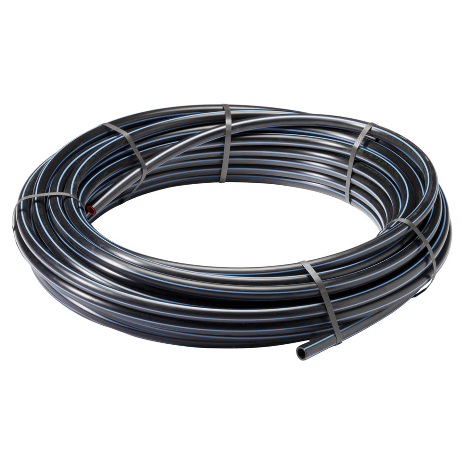 Tyleen Buis ZPE-783525