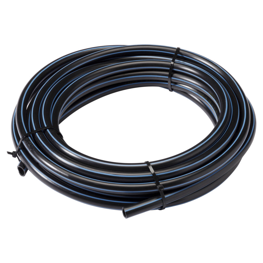 Tyleen Buis ZPE-783528