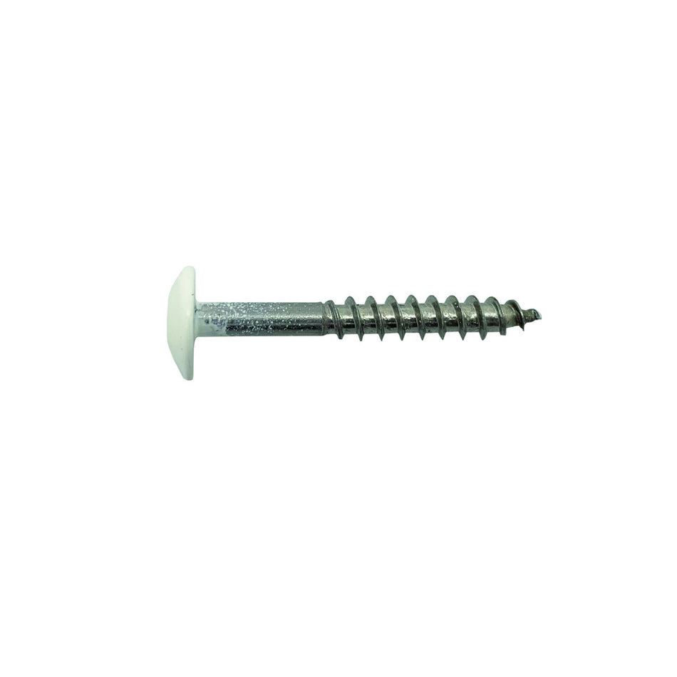 Bouwmaat HPL Schroef RVS Gebroken Wit T20 100st-784610