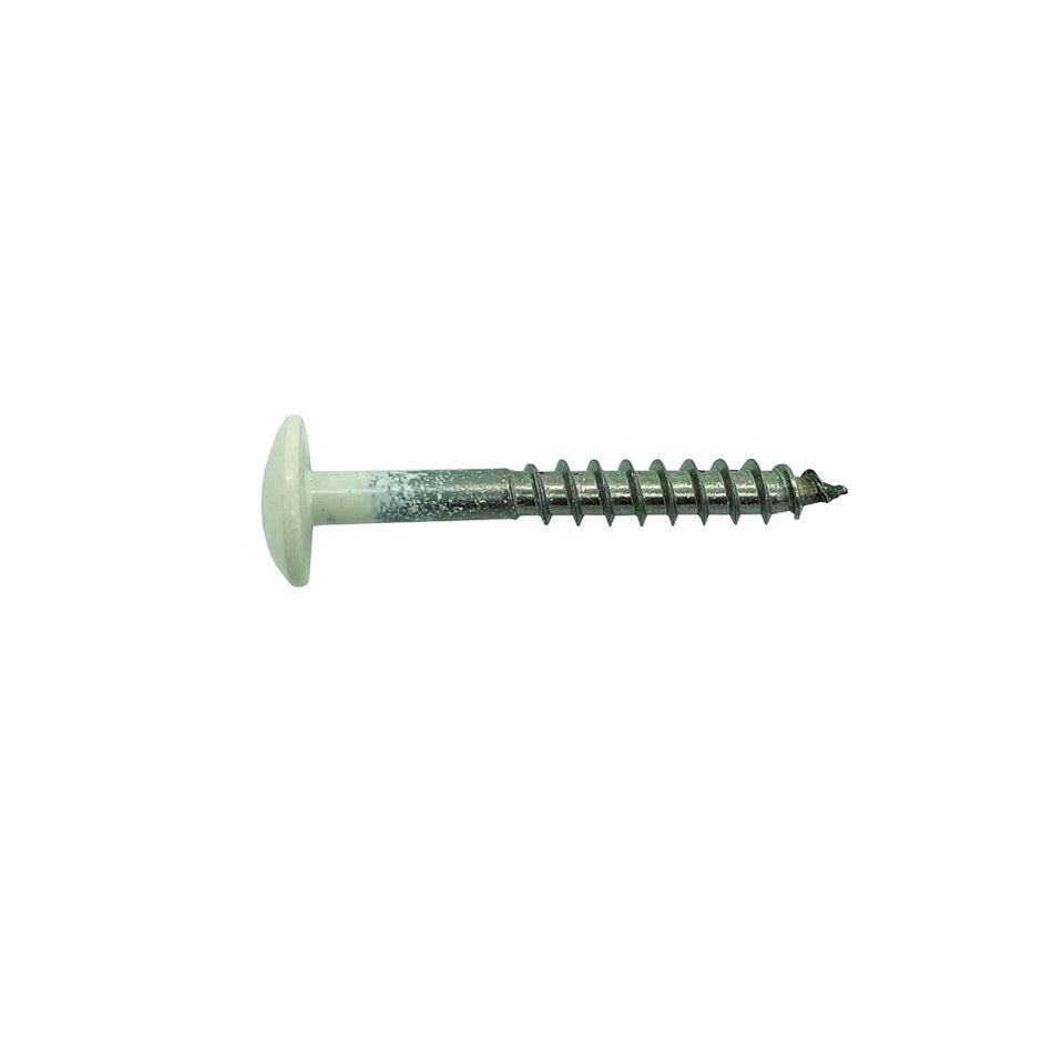 Bouwmaat HPL Schroef RVS Crème T20 100st-784611