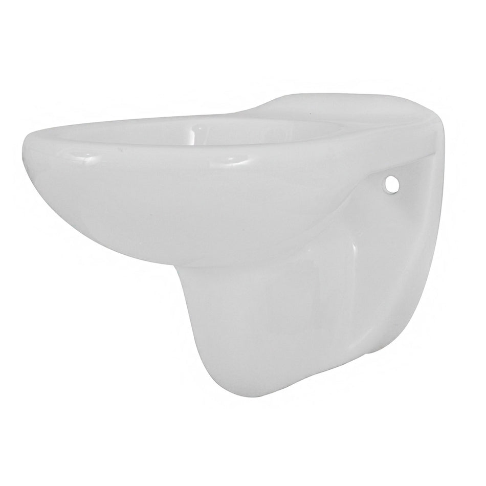 Neptunus Wandcloset Diepspoel Glanzend Wit 54cm-809535