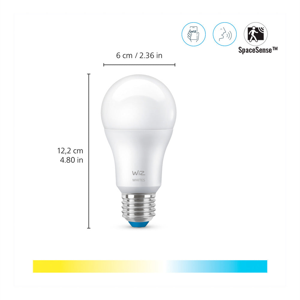 WiZ Slimme LED-Lamp E27 60W Filament A60 Warm tot Koelwit Licht Transparant 2st-864118