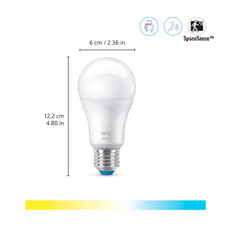 WiZ Slimme LED-Lamp E27 60W Filament A60 Warm tot Koelwit Licht Transparant 2st-864118