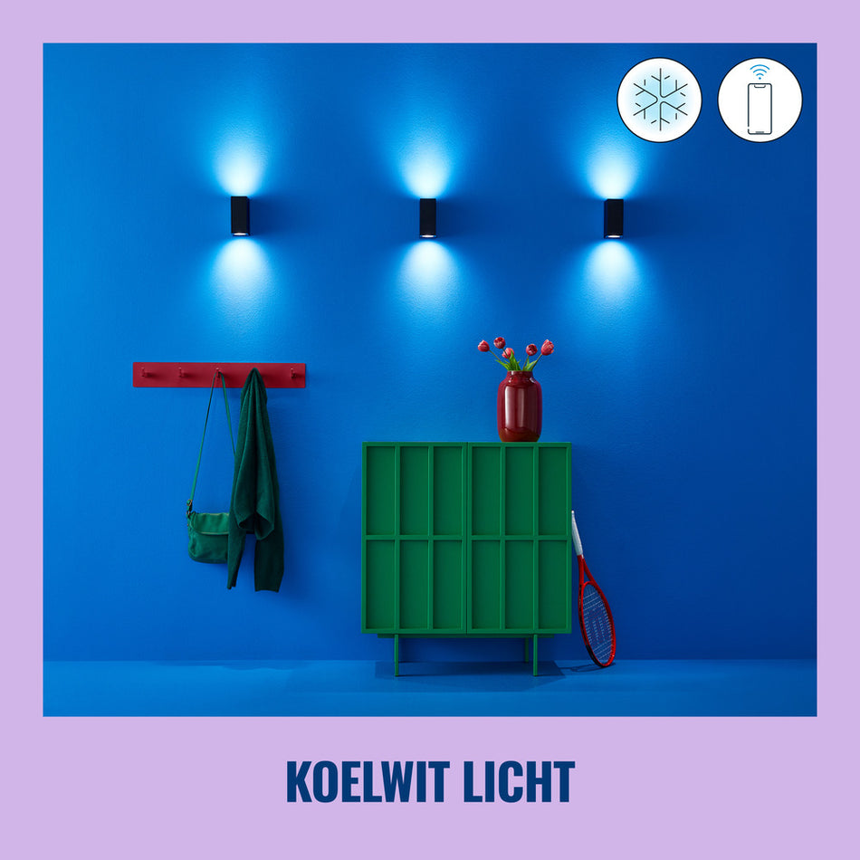 WiZ Slimme LED-Wandlamp Up and Down GU10 5W Gekleurd en Wit Licht Zwart 2st-864133