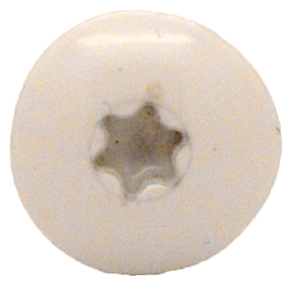 Bouwmaat HPL Schroef RVS Crème T20 100st-921081