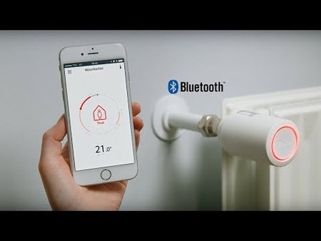 Danfoss Radiatorknop Eco BT-734304